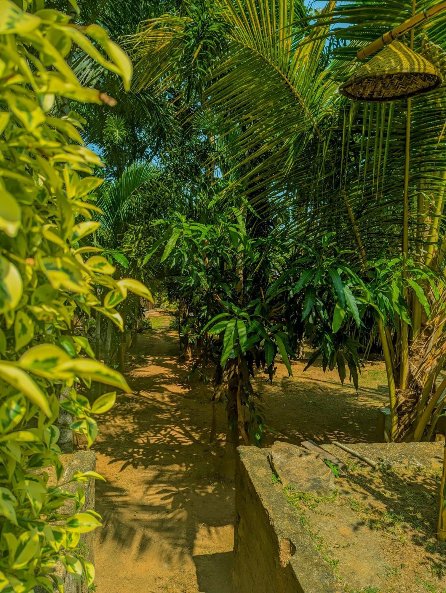 Southern Edge Cabanas Tangalle Exterior foto